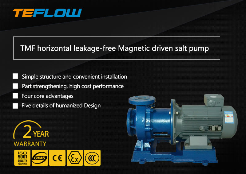Fluorine plastic magnetic pump