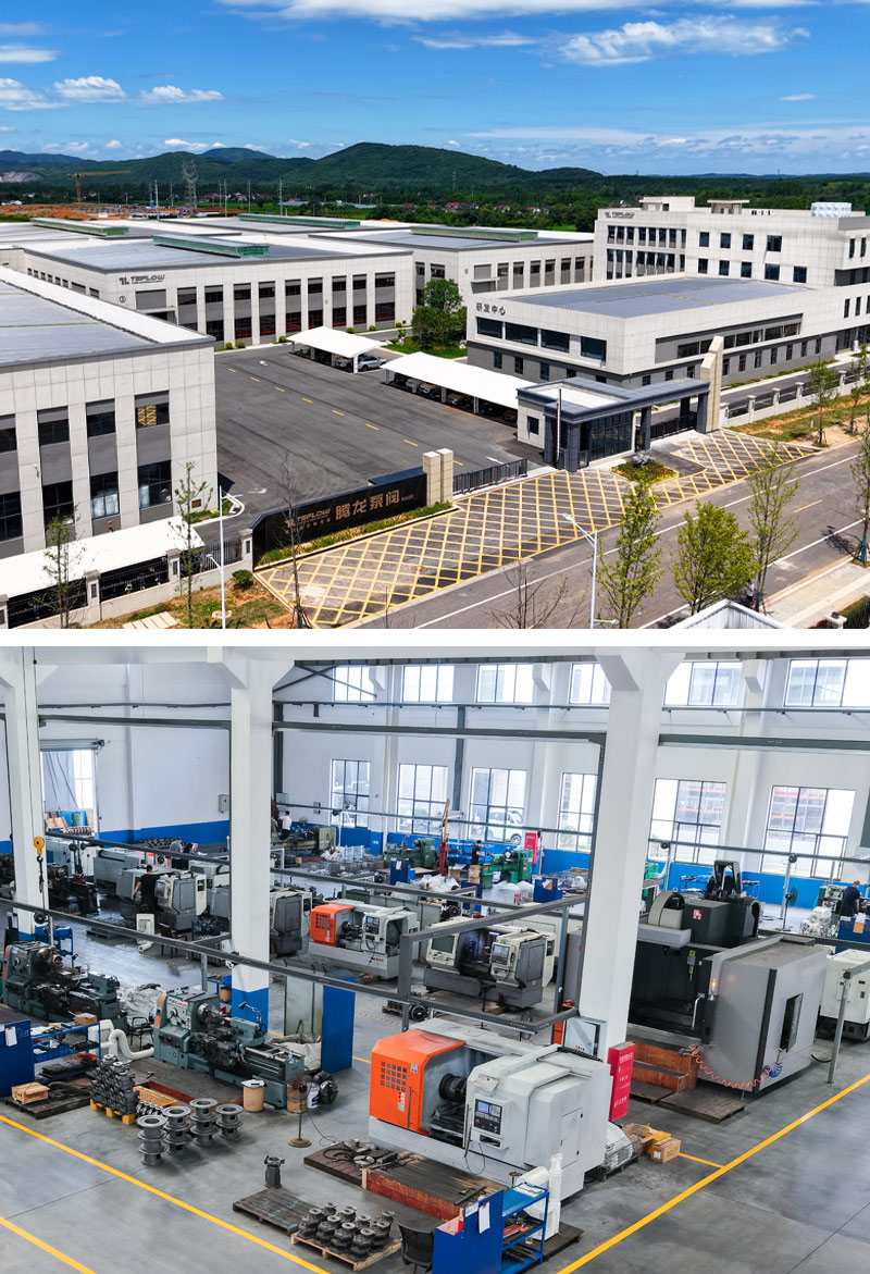 especialistas en bombas de accionamiento magnético personalizadas - bomba tenglong y válvula